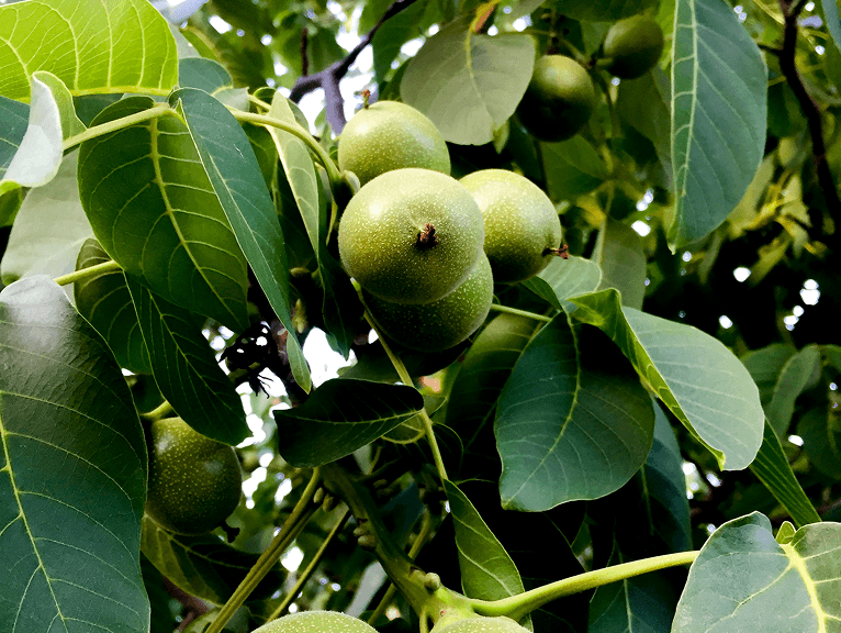 Слънчева енергия