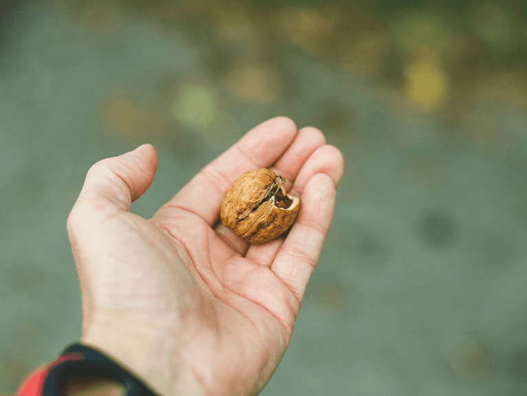 Ръчно събиране