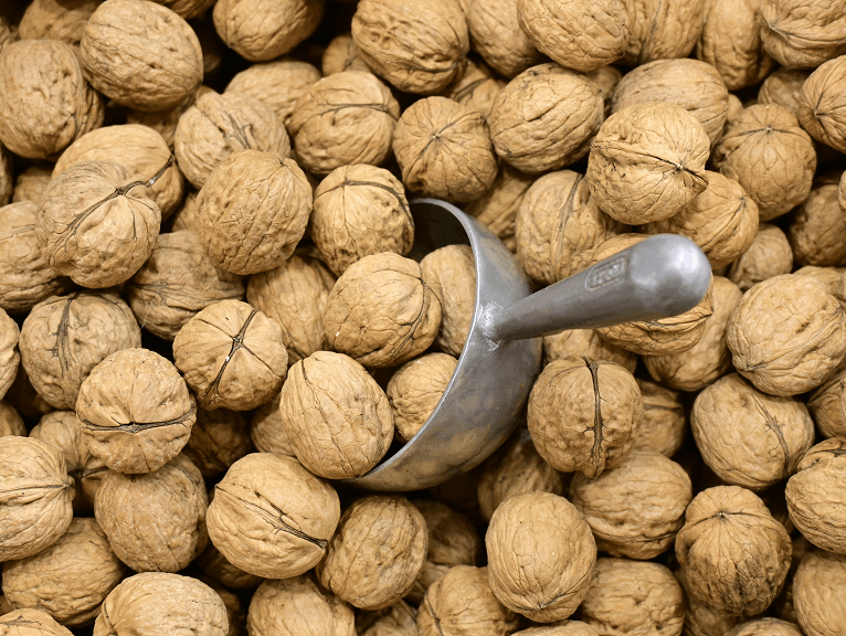 Скорост на обработка