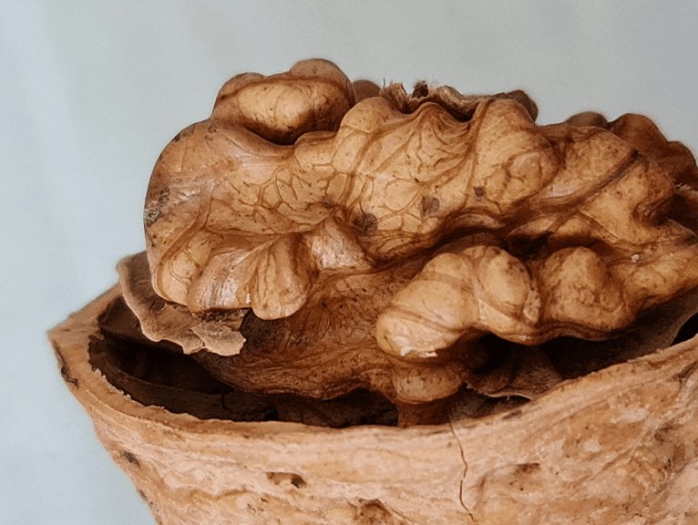 Европейски стандарти